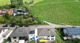 von_poll_real_estate_property_25239637_image_4