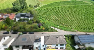 von_poll_real_estate_property_25239637_image_4