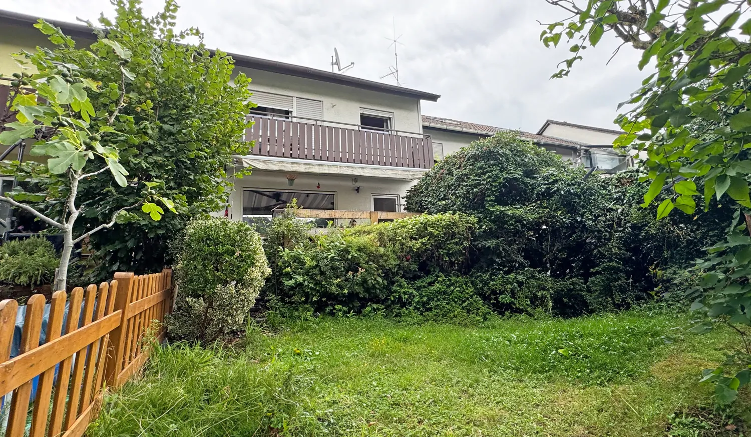 Garten mit Blick aufs Haus