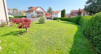 von_poll_real_estate_property_25239636_image_8