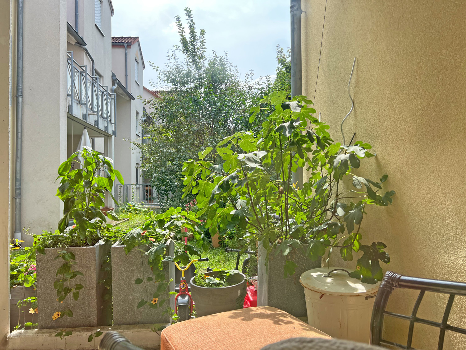 Terrasse