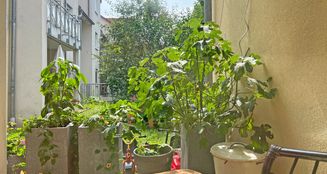 von_poll_real_estate_property_25239628_image_3