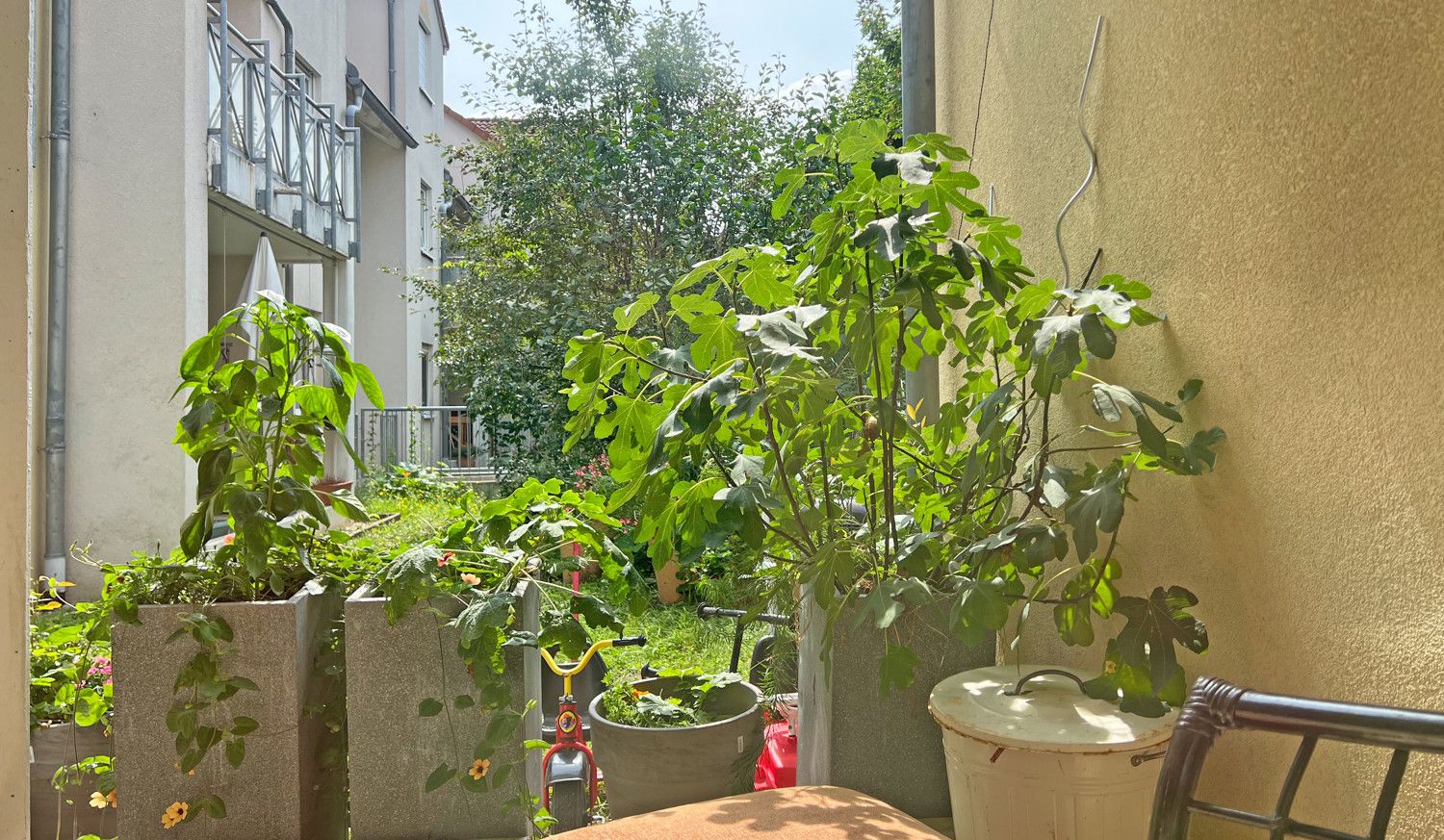Terrasse