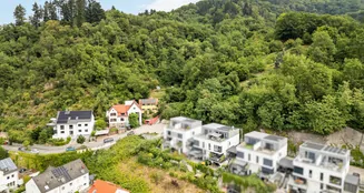 von_poll_real_estate_property_25239641_image_17