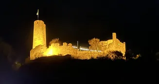 von_poll_real_estate_property_25239646_image_24