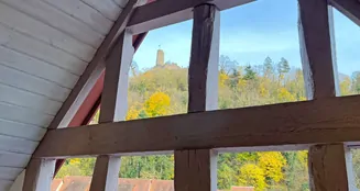 von_poll_real_estate_property_25239646_image_22