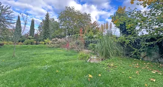 von_poll_real_estate_property_25239656_image_13