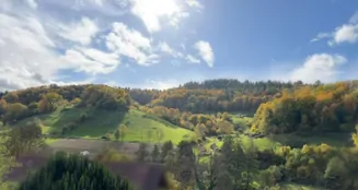 von_poll_real_estate_property_25239645_image_5