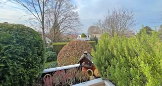 von_poll_real_estate_property_25239660_image_19