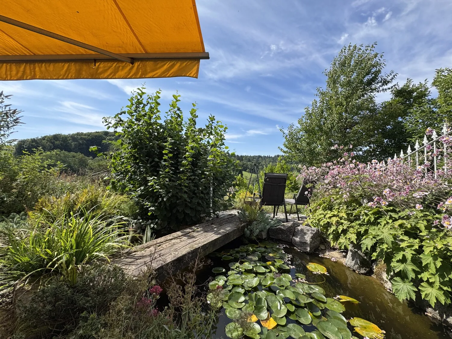 Garten mit Teich