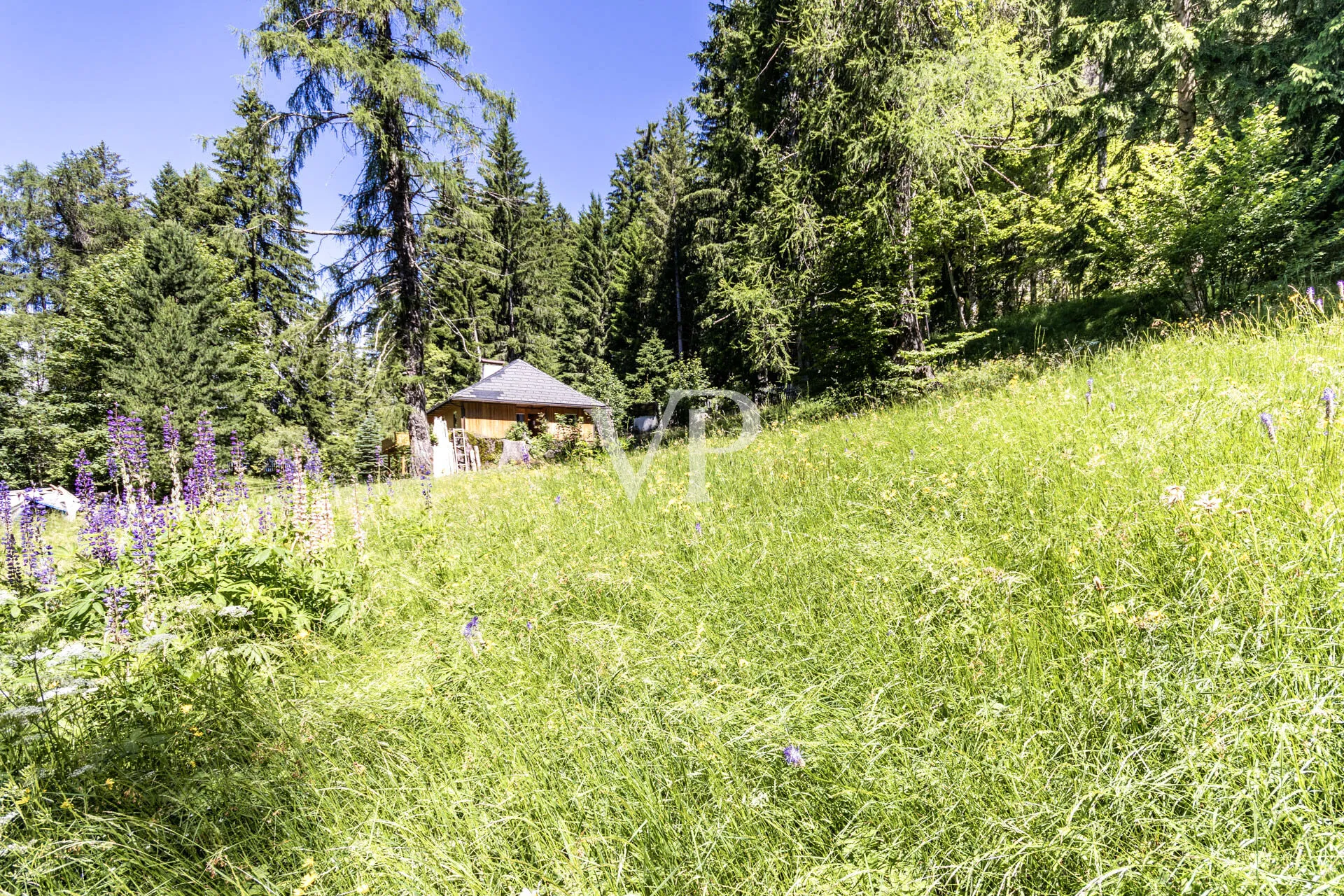 Ein Refugium der Stille: exklusives Chalet auf großzügigem Privatgrundstück