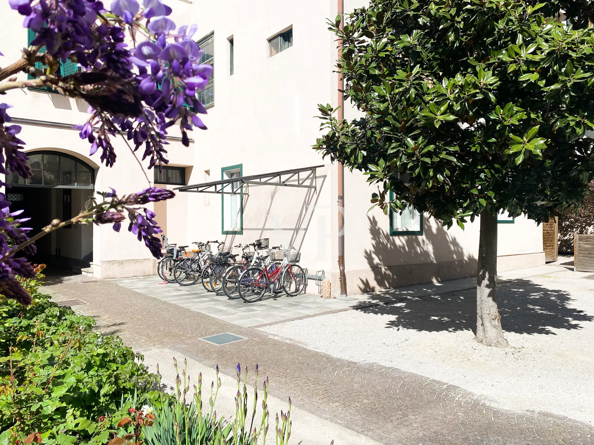 Cortile