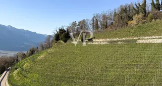 von_poll_real_estate_property_IT23415914_image_84