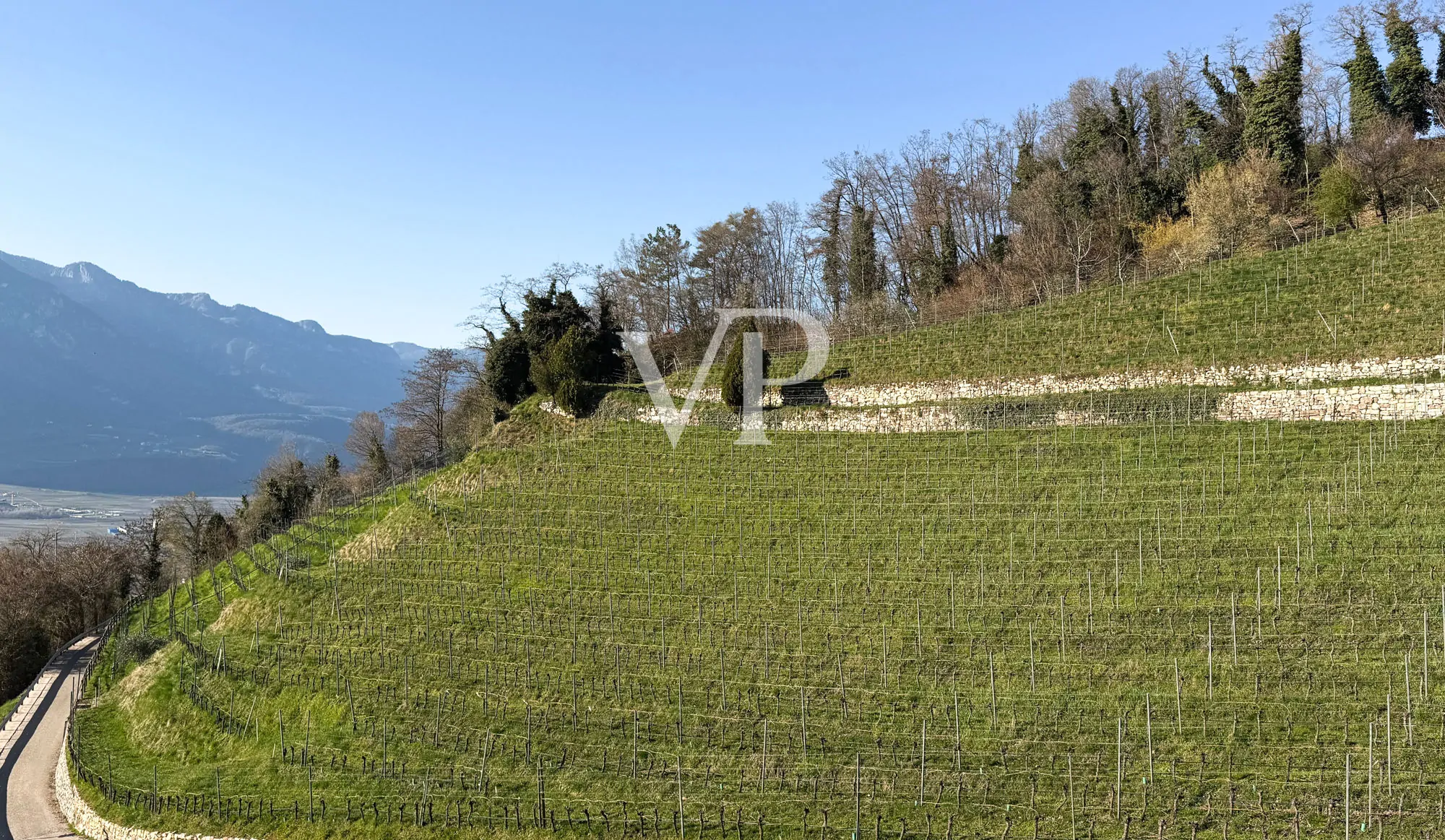 Elegante Reihenvilla mit Blick ins Grüne.