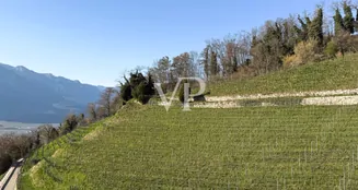 von_poll_real_estate_property_IT23415914_image_107