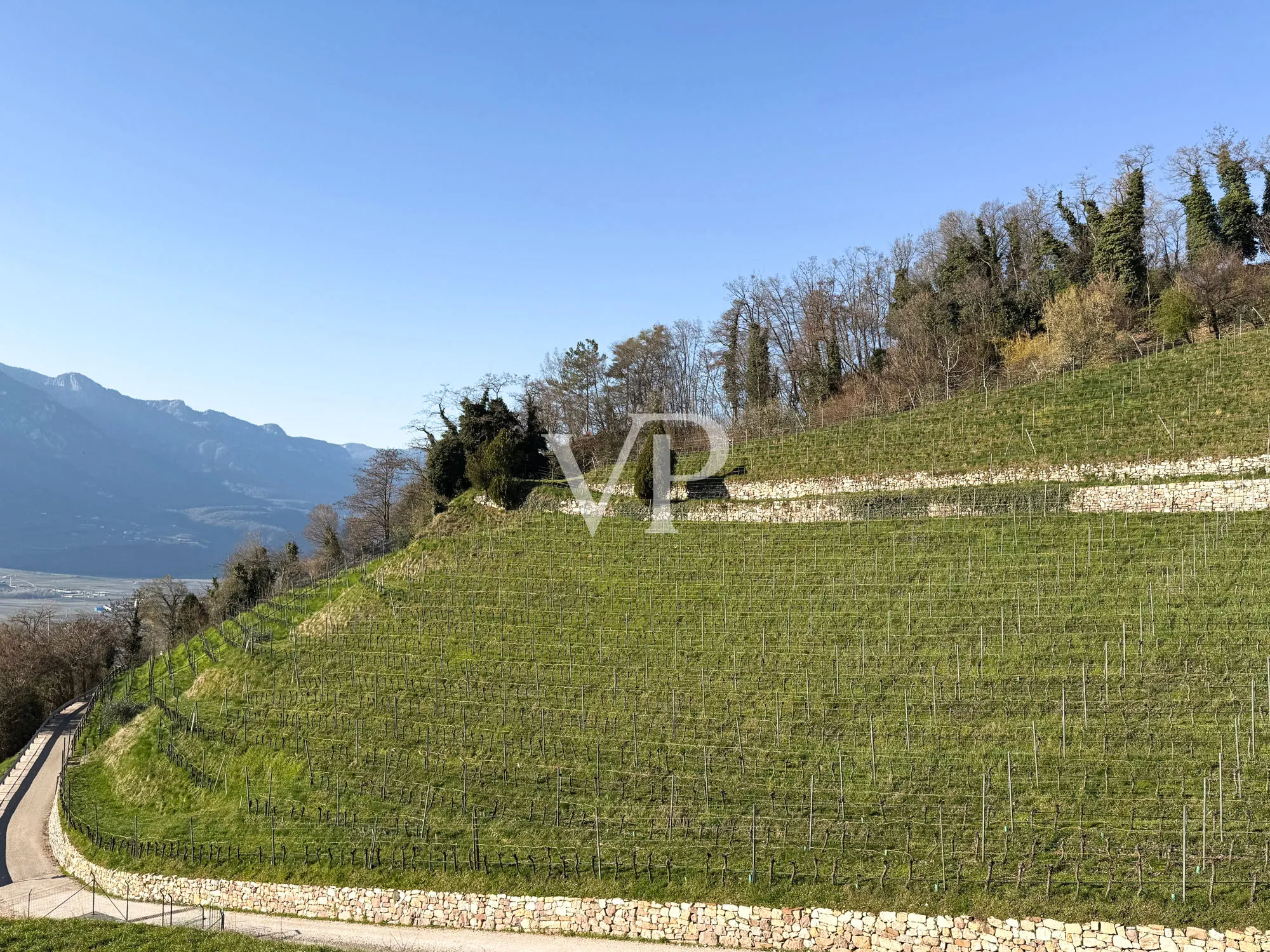 Elegante y moderno chalet adosado rodeado de vegetación.