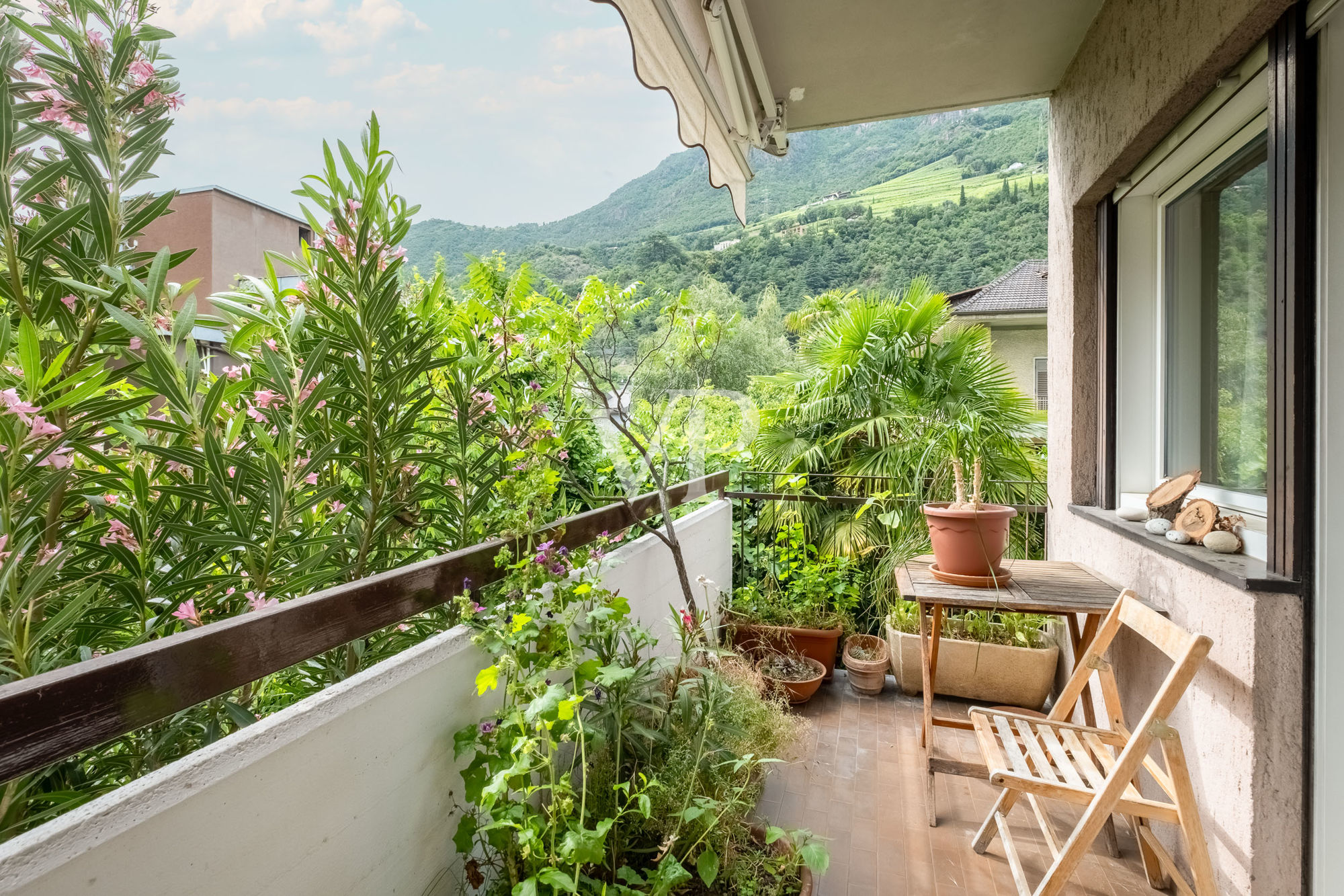 Interessantes Investitionsobjekt: Zwei-Zimmer-Wohnung in der Albin-Egger-Lienz-Straße