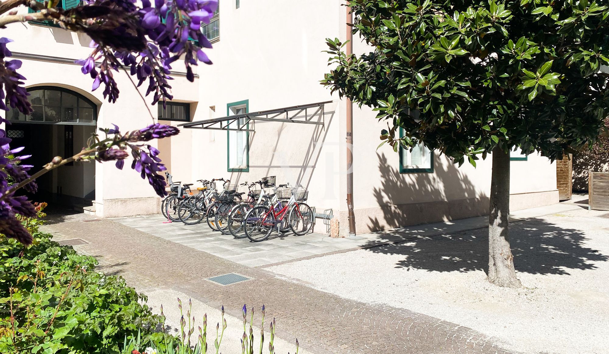 Cortile