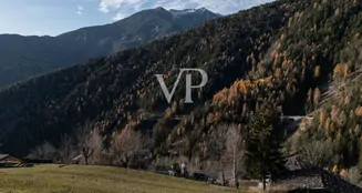 von_poll_real_estate_property_IT254921973_image_48