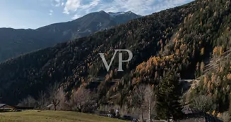 von_poll_real_estate_property_IT254921973_image_10