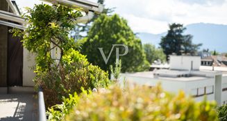 von_poll_real_estate_property_IT254152011_image_49