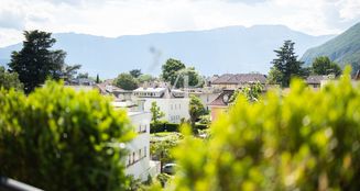 von_poll_real_estate_property_IT254152011_image_47