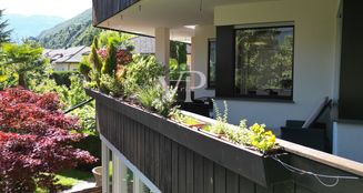 von_poll_real_estate_property_IT254152120_image_39