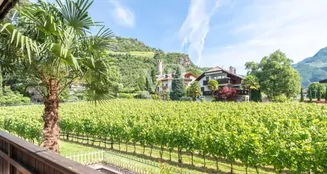 von_poll_real_estate_property_IT254152120_image_0