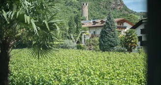 von_poll_real_estate_property_IT254152120_image_30