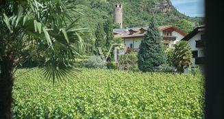von_poll_real_estate_property_IT254152120_image_30