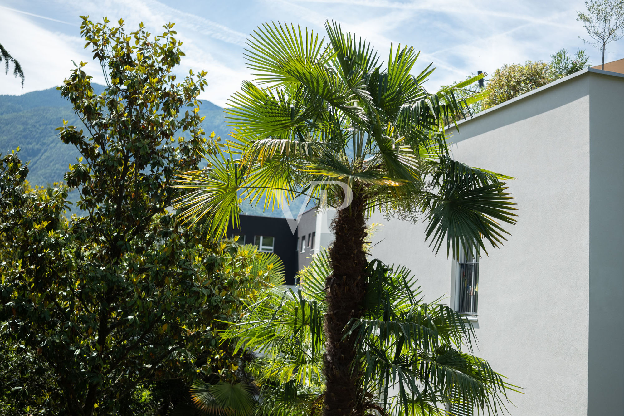 Vista terrazzo