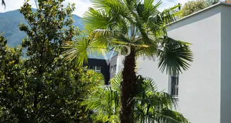 von_poll_real_estate_property_IT254152120_image_35