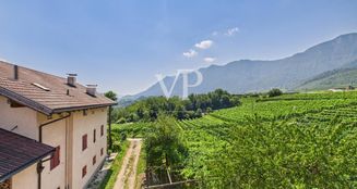 von_poll_real_estate_property_IT254152246_image_0