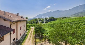 von_poll_real_estate_property_IT254152246_image_1
