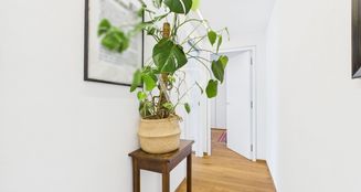 von_poll_real_estate_property_IT254152334_image_13
