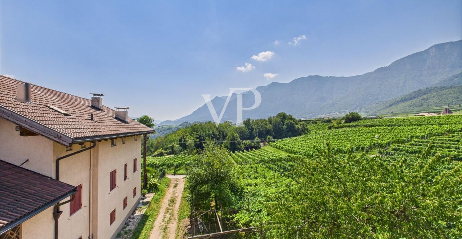 Kaltern - quiet two-room apartments in the countryside