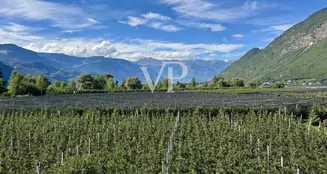 von_poll_real_estate_property_IT23415945_4_image_5