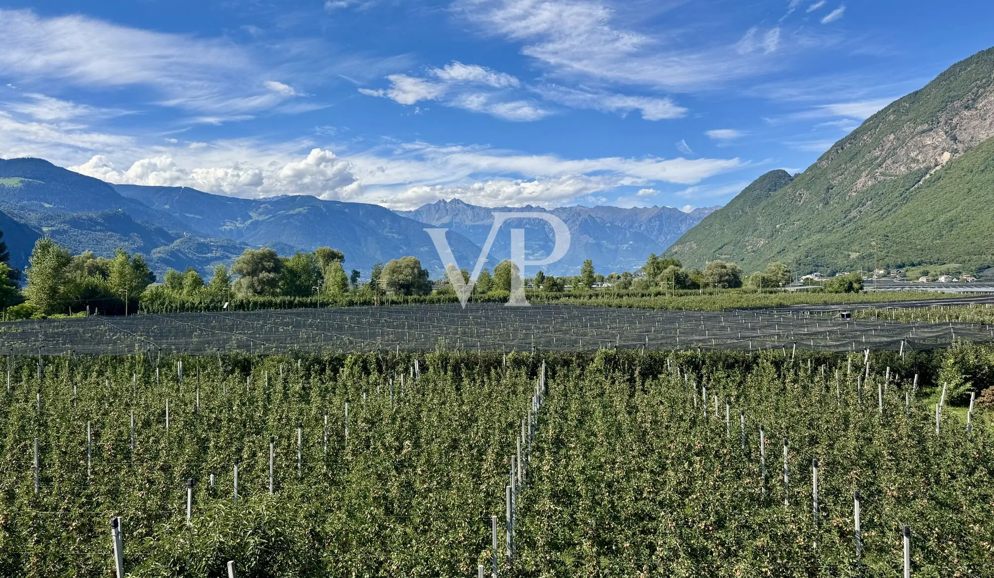 Aussicht Richtung Meran - Texelgruppe