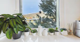 von_poll_real_estate_property_IT254152581_image_14