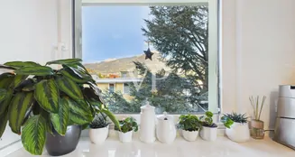 von_poll_real_estate_property_IT254152581_image_14