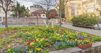 von_poll_real_estate_property_IT254152586_image_19