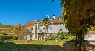 von_poll_real_estate_property_IT254152583_image_80