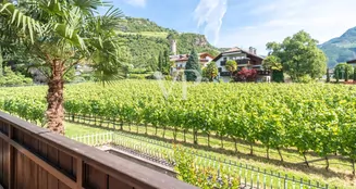 von_poll_real_estate_property_IT254152601_image_2