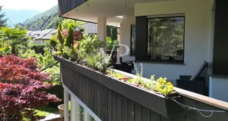 von_poll_real_estate_property_IT254152601_image_39