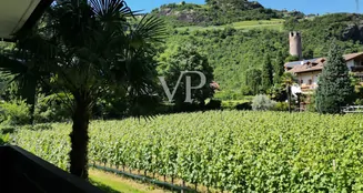 von_poll_real_estate_property_IT254152601_image_40