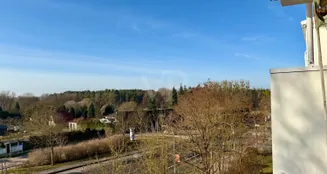 von_poll_real_estate_property_25411006_image_9