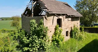 von_poll_real_estate_property_25411013_image_10