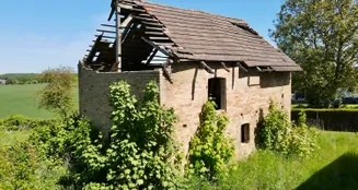 von_poll_real_estate_property_25411013_image_10