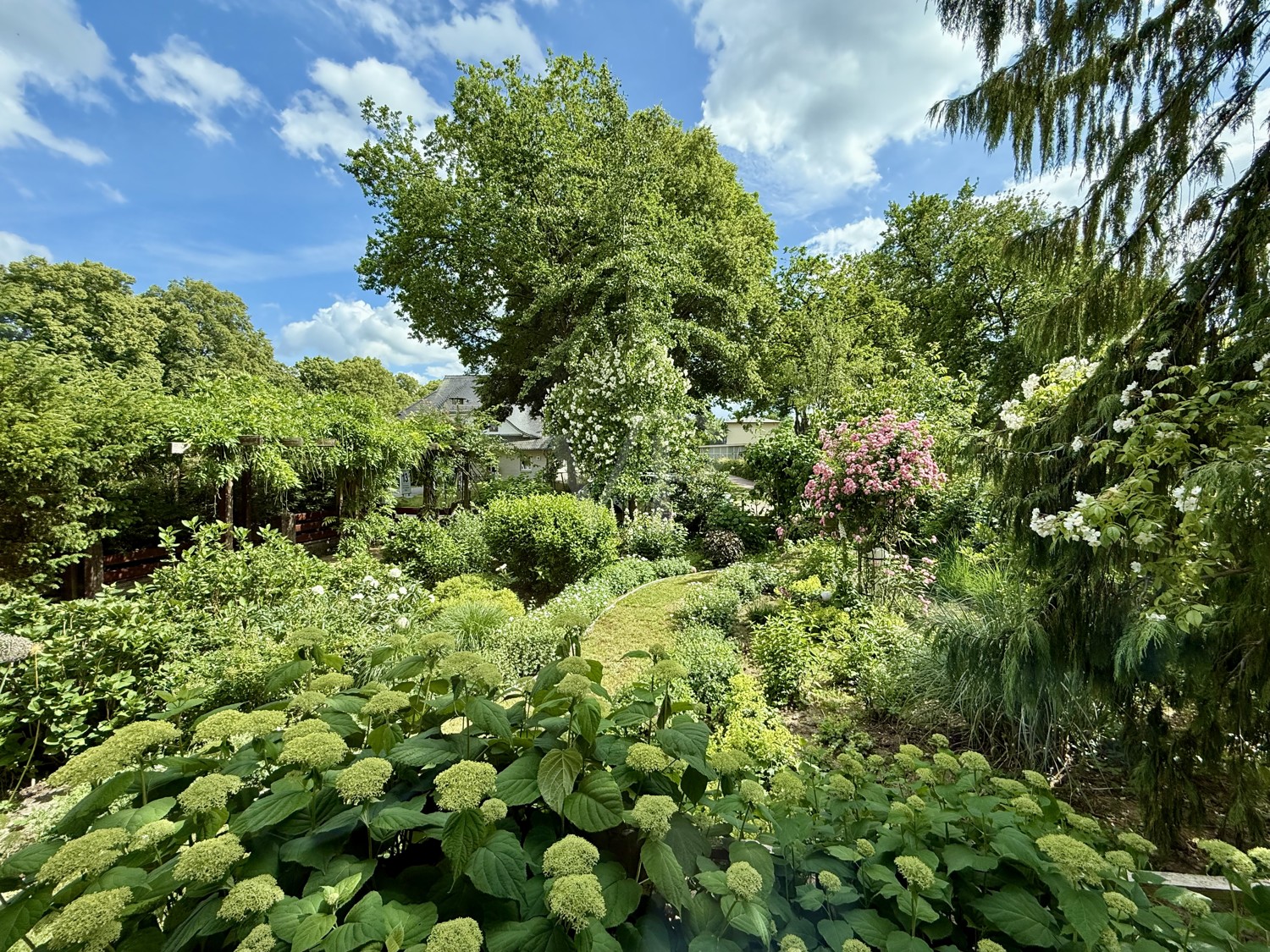 Blick in den Vorgarten