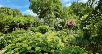 von_poll_real_estate_property_25411016_image_10